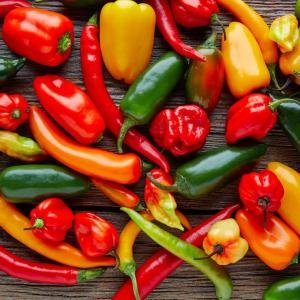 Pepper