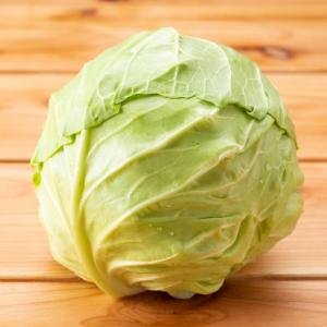 Cabbage
